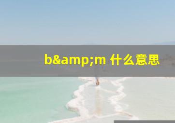 b&m 什么意思